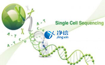 中國人自己的單細胞測序儀來了！,Drop-seq